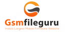 GsmRadix